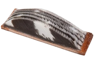 Wild Turkey Feather Arrow Rest