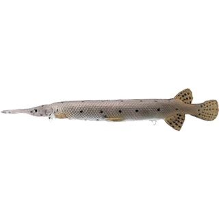 Rinehart Yellow Fin Gar Target