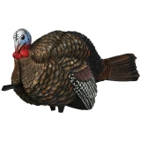 Avian X 1/2 Strut Jake Turkey Decoy