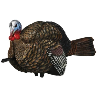 Avian X 1/2 Strut Jake Turkey Decoy