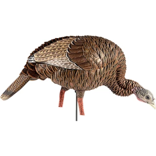 Avian X HDR Feeding Hen Decoy