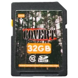 Covert SD Memory Card