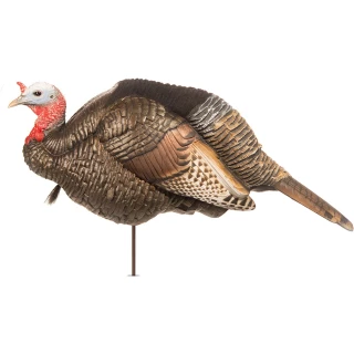 Dave Smith 3/4 Strut Jake Decoy