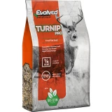 Evolved Turnip Seed