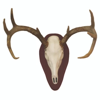 Hunter Specialties Mount Kit