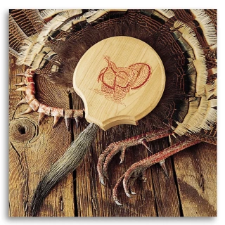 Quaker Boy Turkey Fan Mount