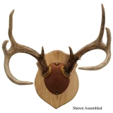 Walnut Hollow Antler Mounting