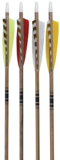 3Rivers Hunter Wood Arrows
