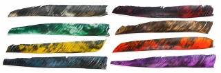 Gateway Tre Barred Full Length Arrow Feathers