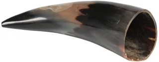 Raw Cow Horn