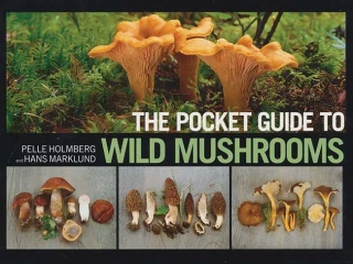 The Pocket Guide to Wild Mushrooms