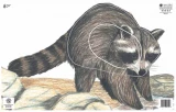 Raccoon Paper Archery Target